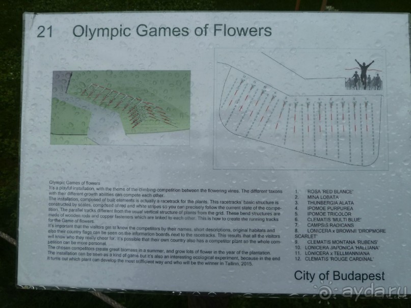 Прогулки по Старому/Новому Таллину и окрестностям.