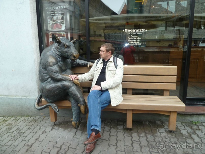 Прогулки по Старому/Новому Таллину и окрестностям.
