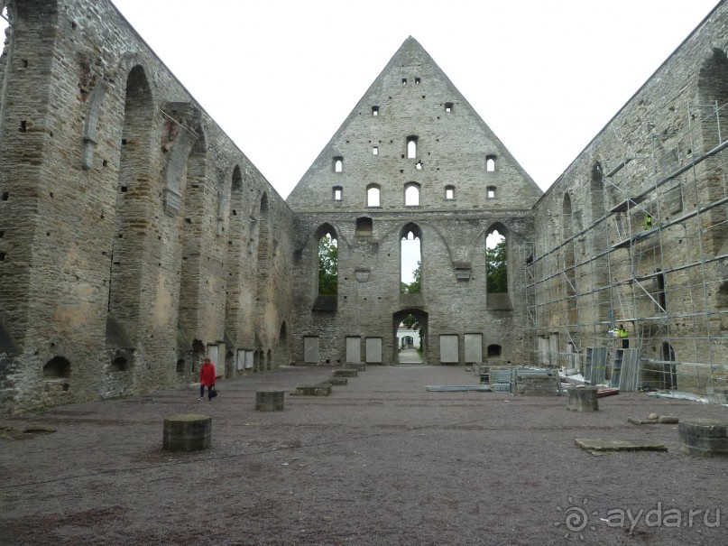 Прогулки по Старому/Новому Таллину и окрестностям.