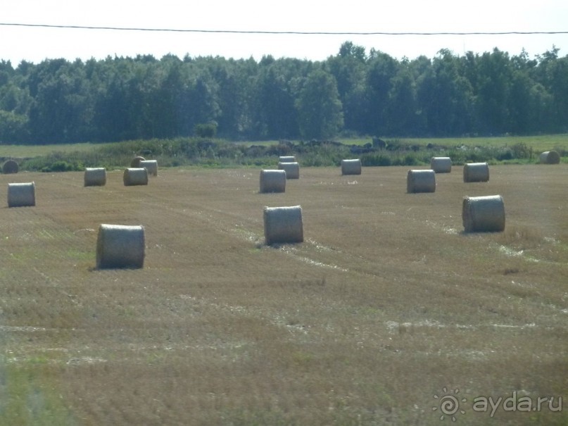 Прогулки по Старому/Новому Таллину и окрестностям.