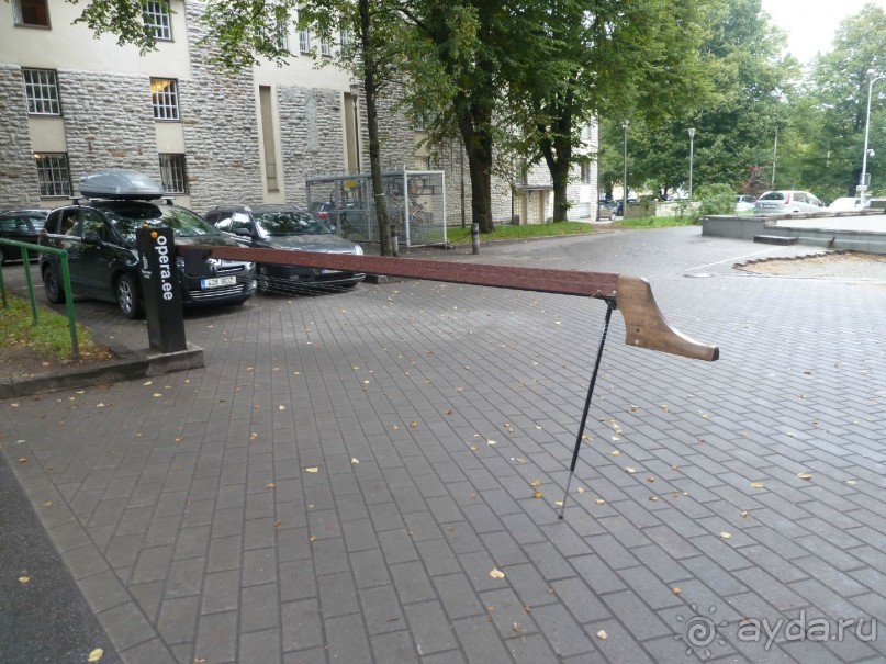 Прогулки по Старому/Новому Таллину и окрестностям.