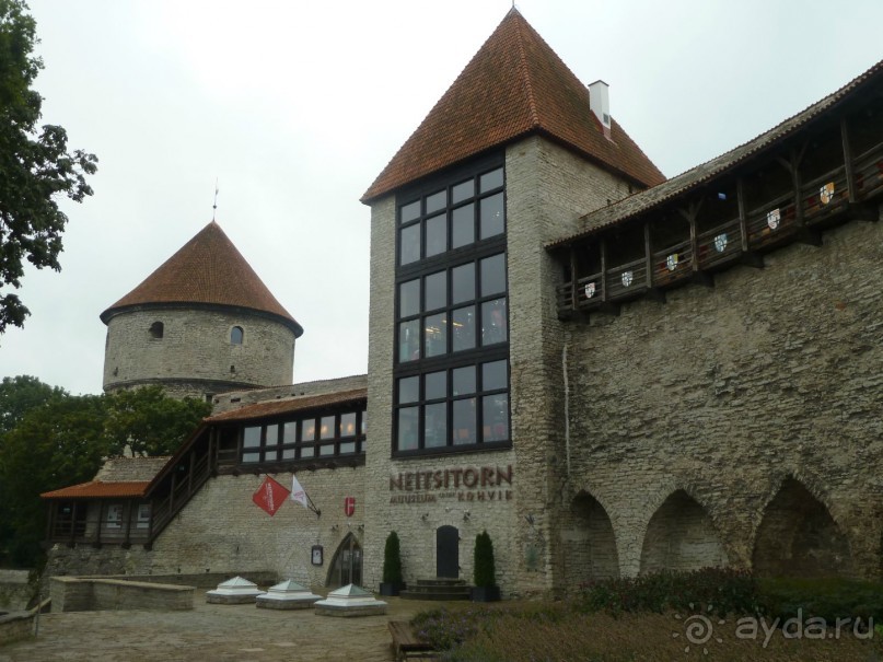 Прогулки по Старому/Новому Таллину и окрестностям.