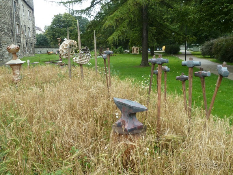 Прогулки по Старому/Новому Таллину и окрестностям.