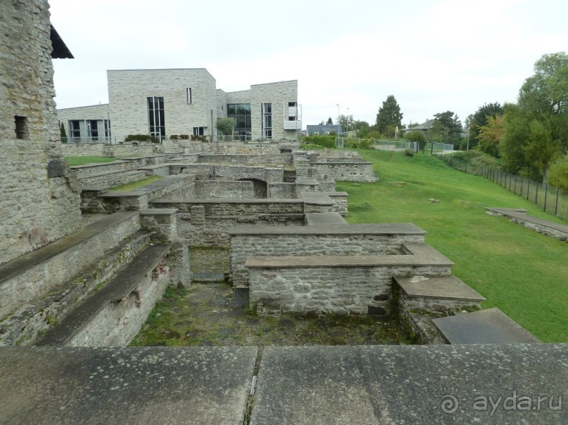 Прогулки по Старому/Новому Таллину и окрестностям.