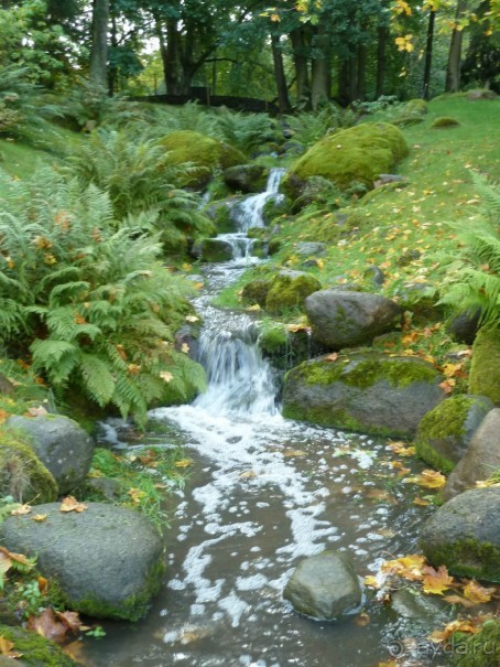 Прогулки по Старому/Новому Таллину и окрестностям.