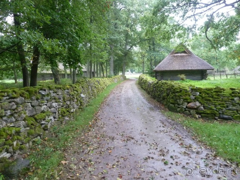 Прогулки по Старому/Новому Таллину и окрестностям.