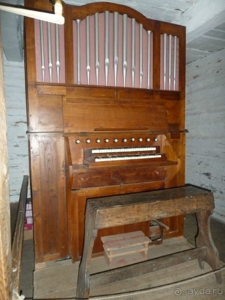 Прогулки по Старому/Новому Таллину и окрестностям.