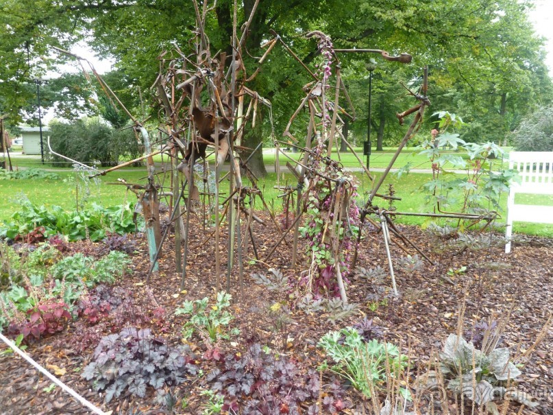 Прогулки по Старому/Новому Таллину и окрестностям.