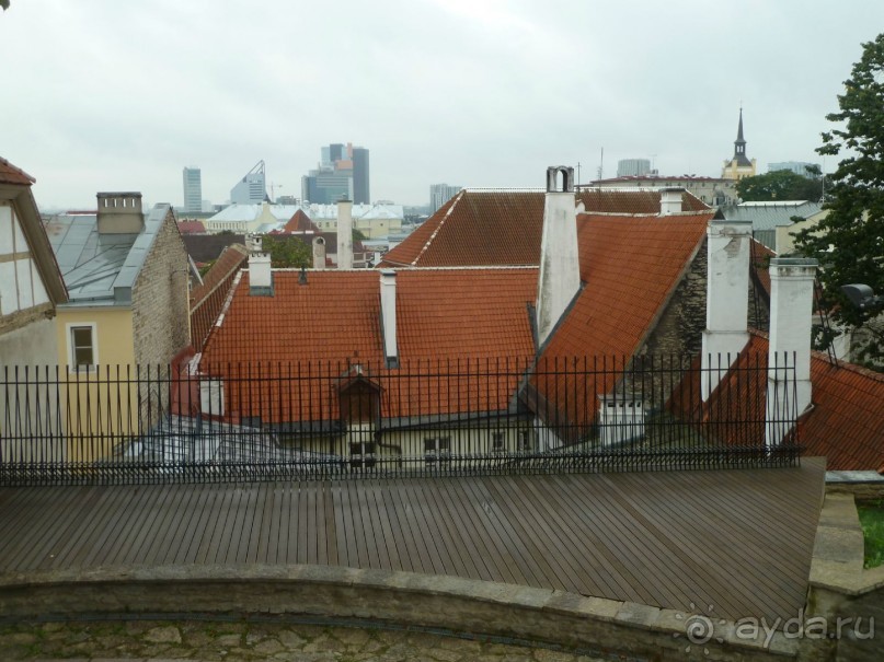 Прогулки по Старому/Новому Таллину и окрестностям.