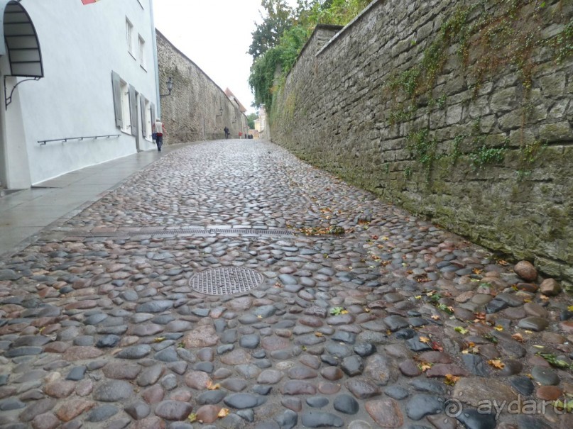 Прогулки по Старому/Новому Таллину и окрестностям.