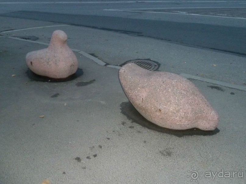 Прогулки по Старому/Новому Таллину и окрестностям.