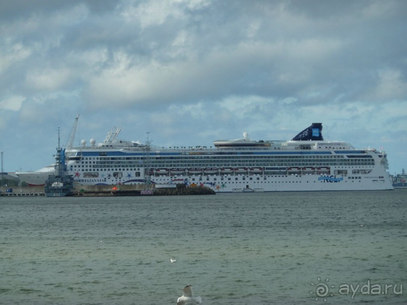 Прогулки по Старому/Новому Таллину и окрестностям.
