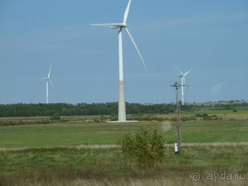 Прогулки по Старому/Новому Таллину и окрестностям.