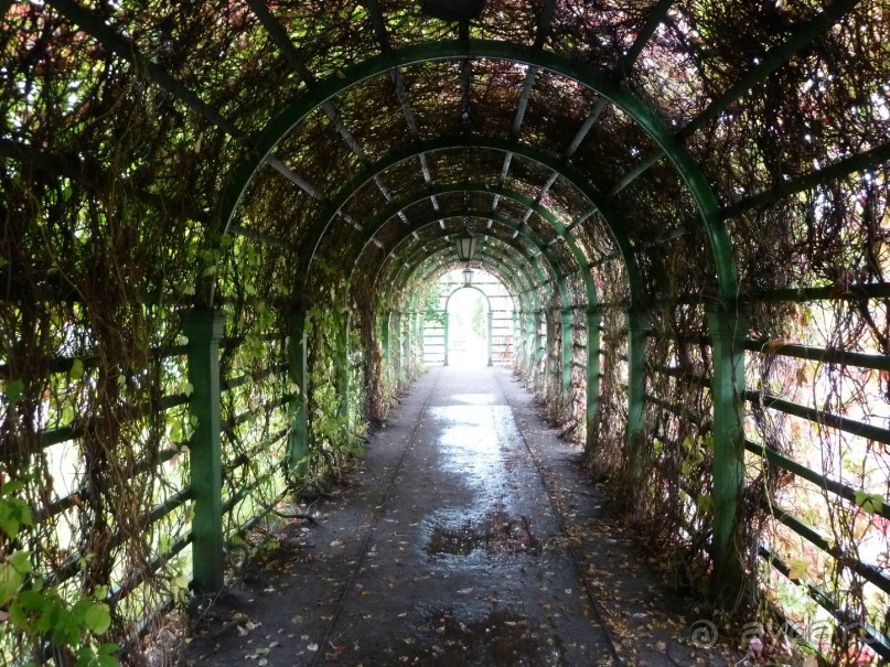 Прогулки по Старому/Новому Таллину и окрестностям.