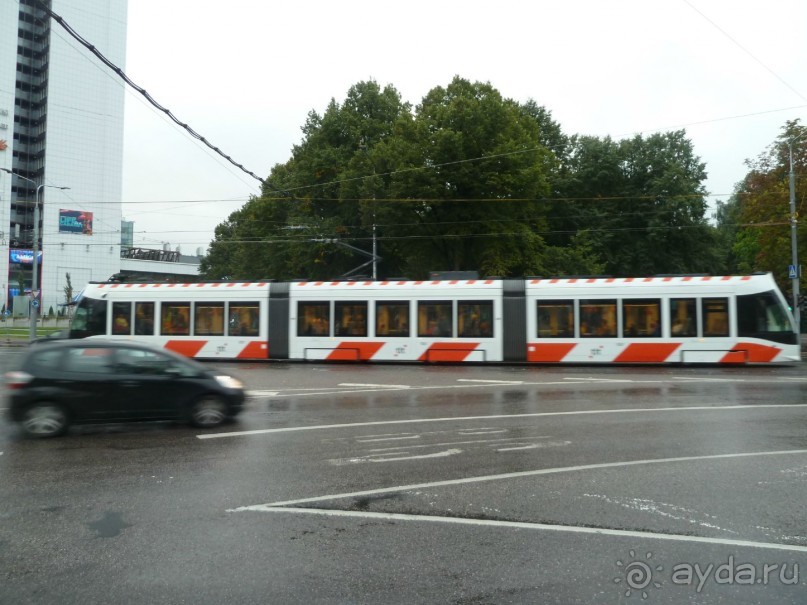 Прогулки по Старому/Новому Таллину и окрестностям.