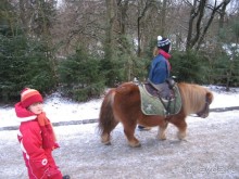Первая поездка в Швецию перед Рождеством. Автобусный тур.