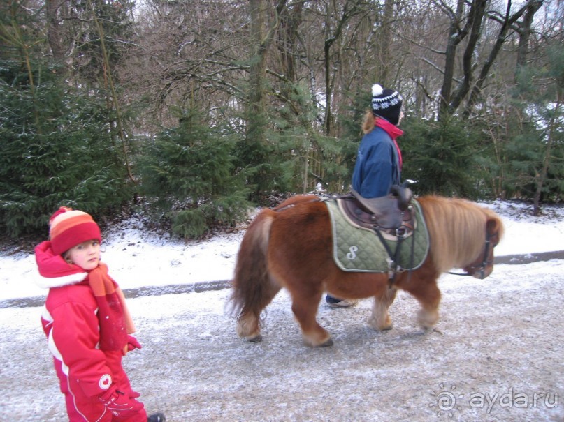 Первая поездка в Швецию перед Рождеством. Автобусный тур.