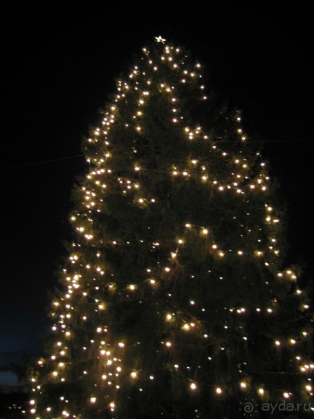 Первая поездка в Швецию перед Рождеством. Автобусный тур.