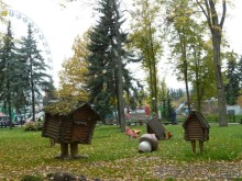 Альбом отзыва "Крестовский остров в Санкт-Петербурге - отличное место для отдыха и прогулок круглый год."