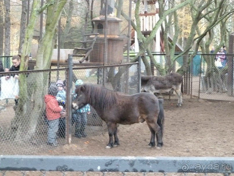 Альбом отзыва "Крестовский остров в Санкт-Петербурге - отличное место для отдыха и прогулок круглый год."