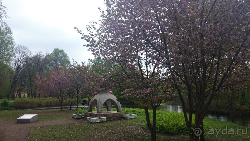 Крестовский остров в Санкт-Петербурге - отличное место для отдыха и прогулок круглый год.