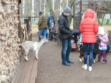 Альбом отзыва "Крестовский остров в Санкт-Петербурге - отличное место для отдыха и прогулок круглый год."