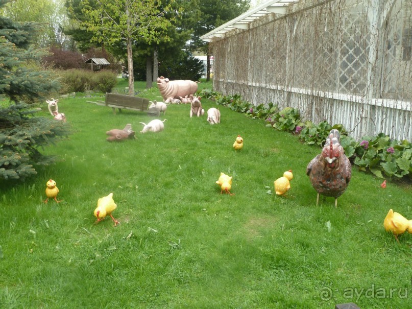 Крестовский остров в Санкт-Петербурге - отличное место для отдыха и прогулок круглый год.