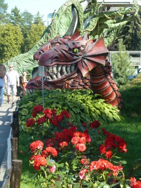 Крестовский остров в Санкт-Петербурге - отличное место для отдыха и прогулок круглый год.