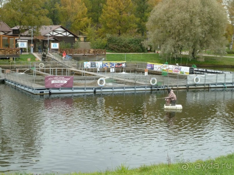 Крестовский остров в Санкт-Петербурге - отличное место для отдыха и прогулок круглый год.