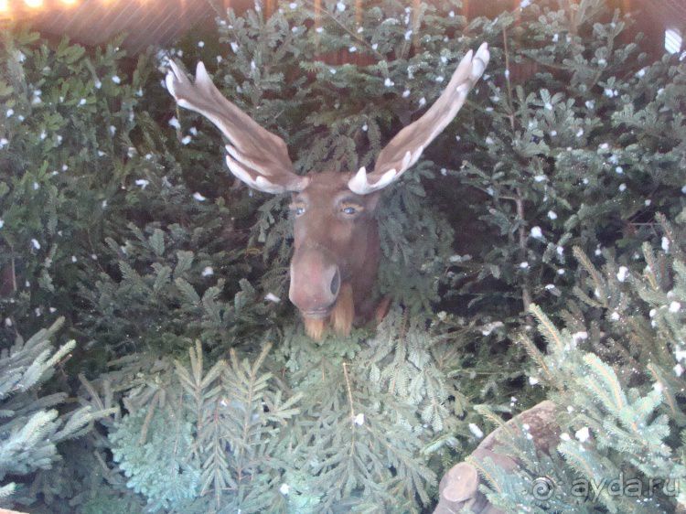 Рождественская поездка в Германию. Мюнхен