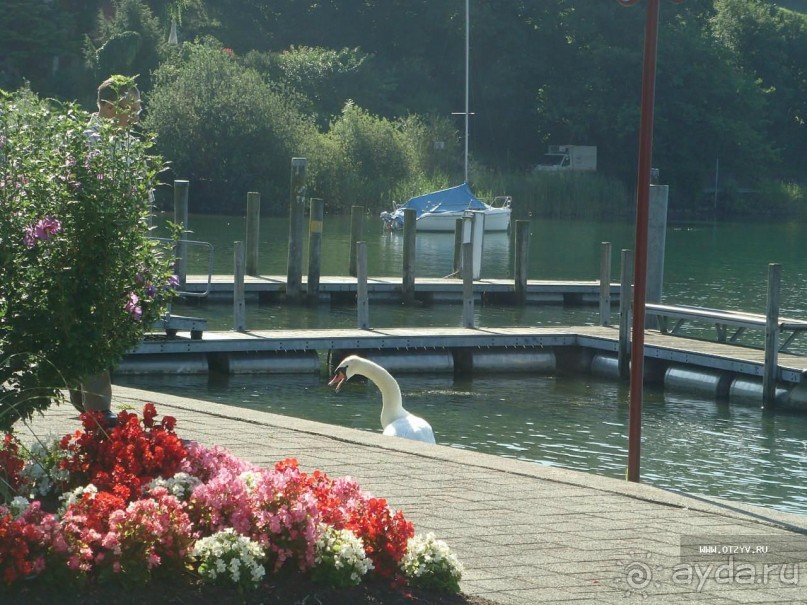 Отель на озере в Швейцарии - буржуйский отдых.