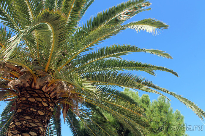 Из Риги в Грецию на автомобиле, июль 2012. рассказ, фото, видео.