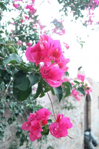 Из Риги в Грецию на автомобиле, июль 2012. рассказ, фото, видео.