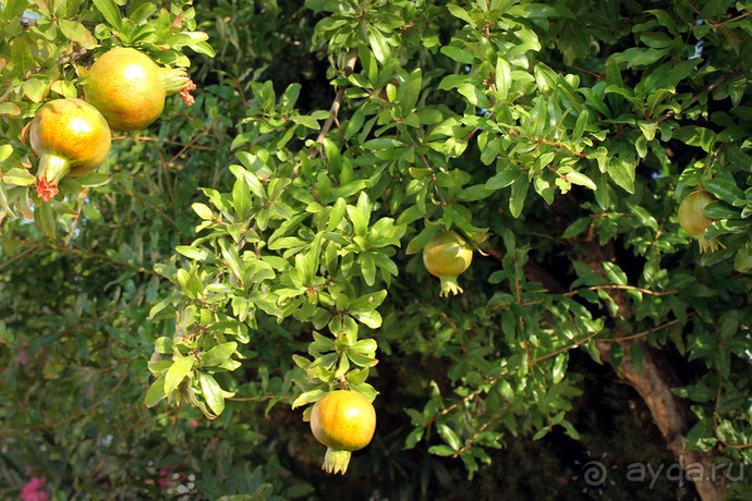 Из Риги в Грецию на автомобиле, июль 2012. рассказ, фото, видео.