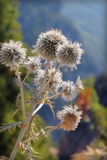 Из Риги в Грецию на автомобиле, июль 2012. рассказ, фото, видео.