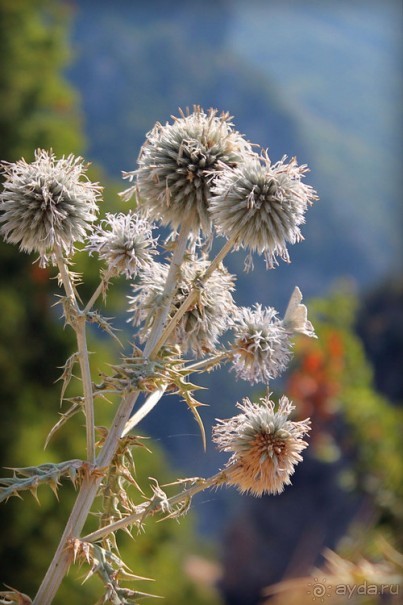 Из Риги в <a href=/greece/>Грецию</a> на автомобиле, июль 2012. рассказ, фото, видео.