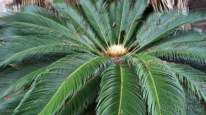 Португалия, отдых и путешествие на машине. 2013, часть 1. рассказ, фото, видео.