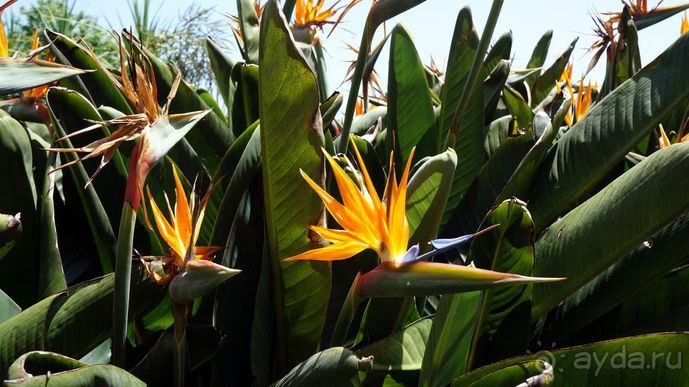 Португалия, отдых и путешествие на машине. 2013, часть 1. рассказ, фото, видео.