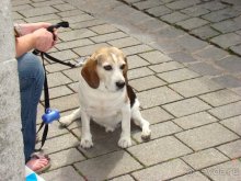 Автомобильное путешествие по Европе. Рассказ, фото и видео
