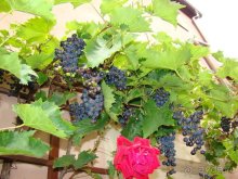 Автомобильное путешествие по Европе. Рассказ, фото и видео