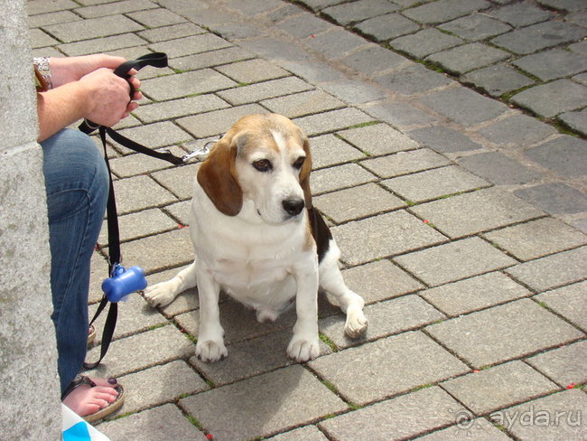 Автомобильное путешествие по Европе. Рассказ, фото и видео