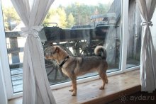 Новый год в Сарнате, Курземе, Латвия.