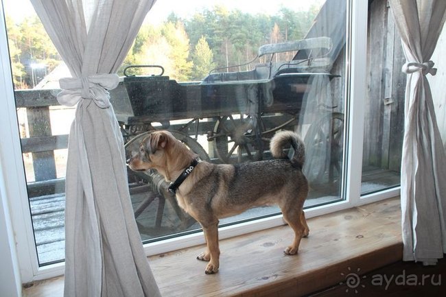 Новый год в Сарнате, Курземе, Латвия.