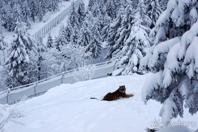 Из Риги в Швецию и Норвегию. Рассказ, фото, видео.