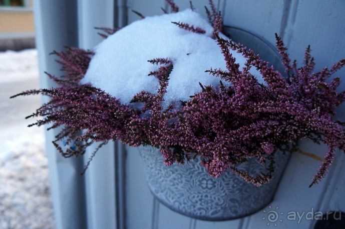 Из Риги в Швецию и Норвегию. Рассказ, фото, видео.