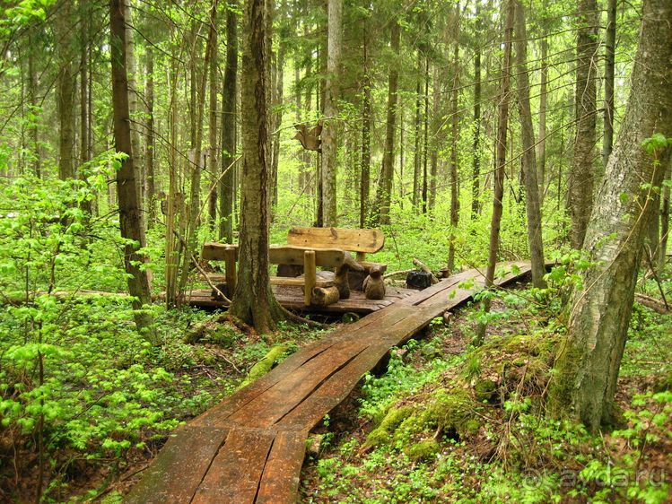 Мир Мюнхаузена - романтическая Латвия