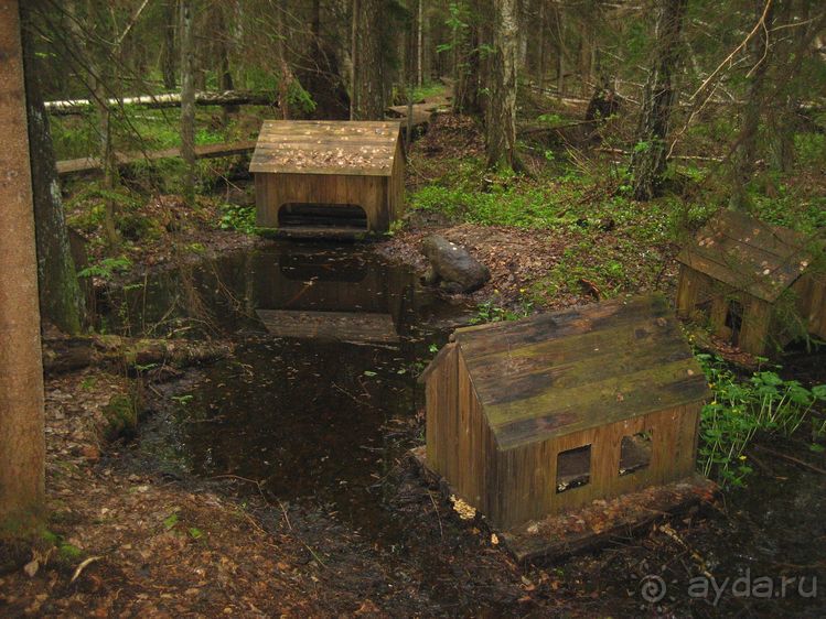 Мир Мюнхаузена - романтическая Латвия