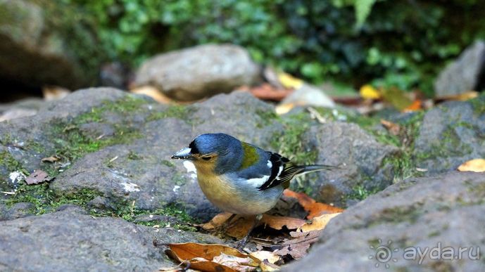 Португалия, отдых и путешествие на машине. 2013, часть 2. рассказ, фото, видео.