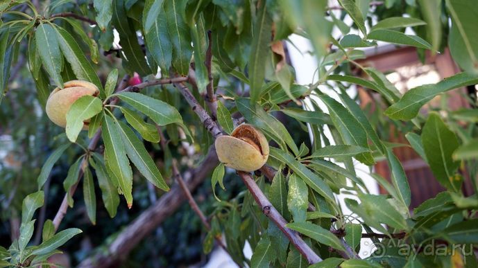 Португалия, отдых и путешествие на машине. 2013, часть 2. рассказ, фото, видео.