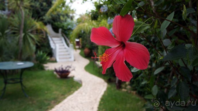 Португалия, отдых и путешествие на машине. 2013, часть 2. рассказ, фото, видео.